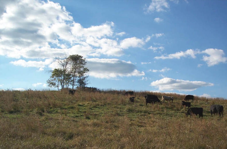  Photo by Larry Wendt, 5 Oct 2004